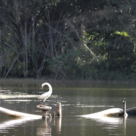Pousada Paraiso Verde Конди Экстерьер фото