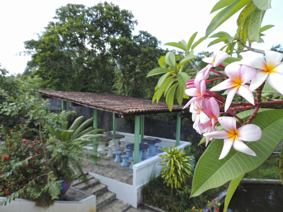 Pousada Paraiso Verde Конди Экстерьер фото